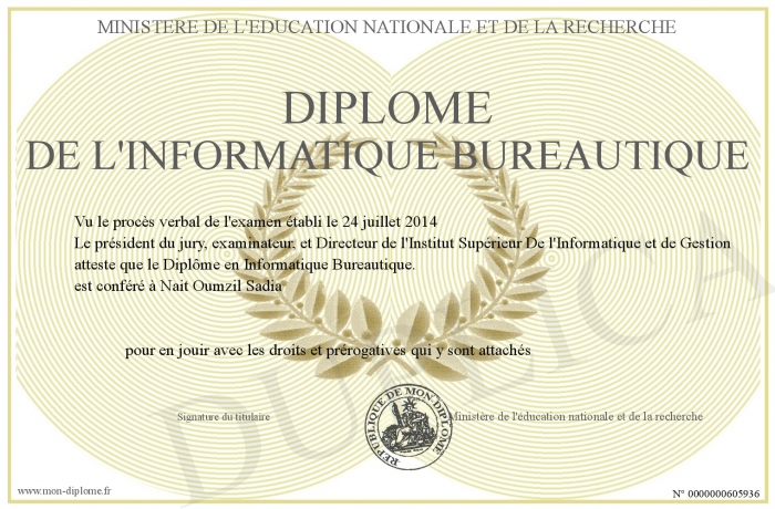 diplome informatique